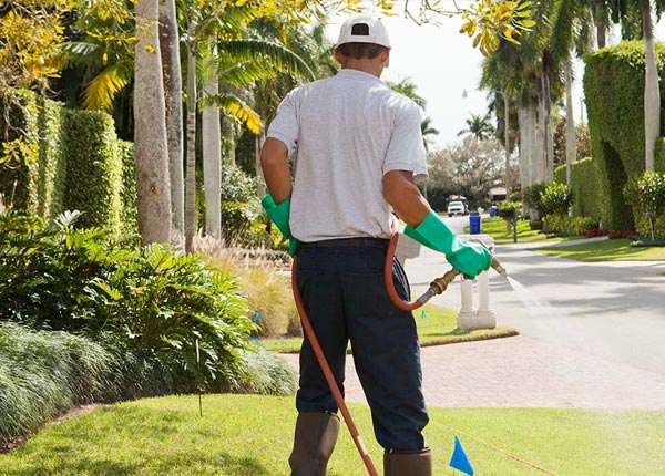 About East Dennis MA Pest Control Pros